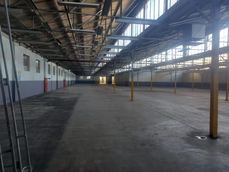 To Let commercial Property for Rent in North End Eastern Cape